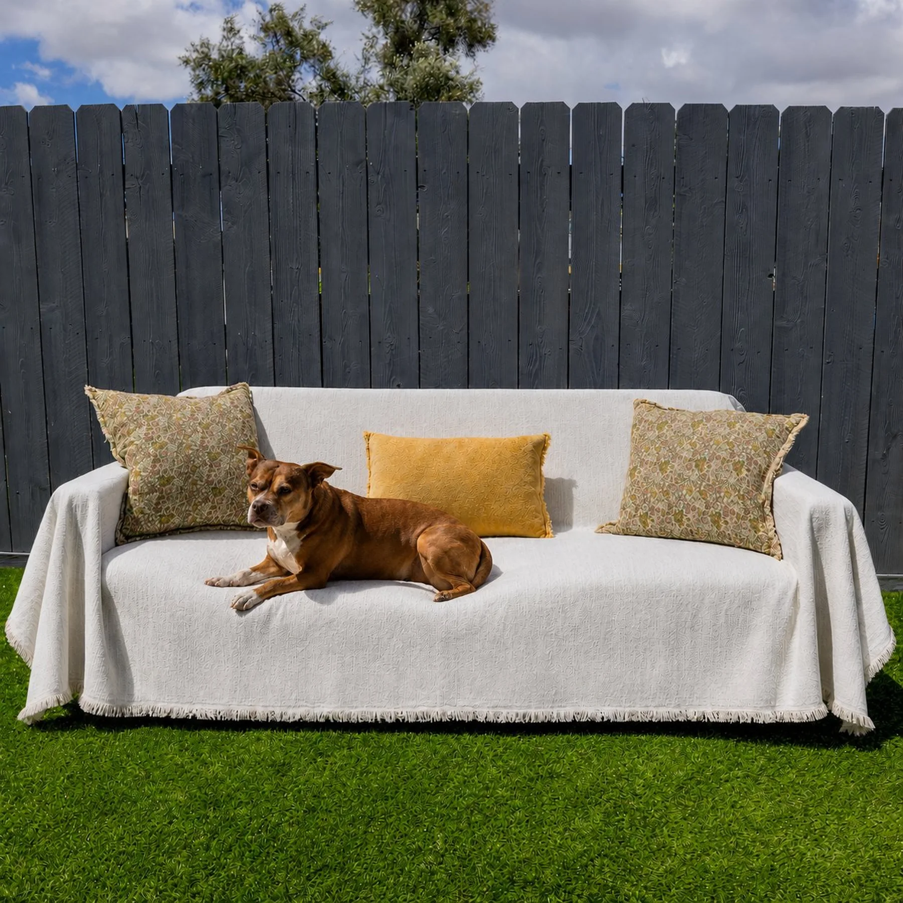 Cream PetHallow chenille couch cover with a dog resting on the sofa